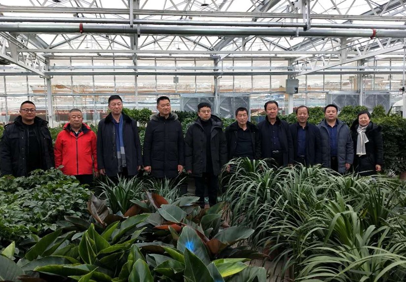 1578905271883827.jpg 圖為:集團考核領(lǐng)導(dǎo)小組參觀烏蘇花卉市場_副本_副本.jpg